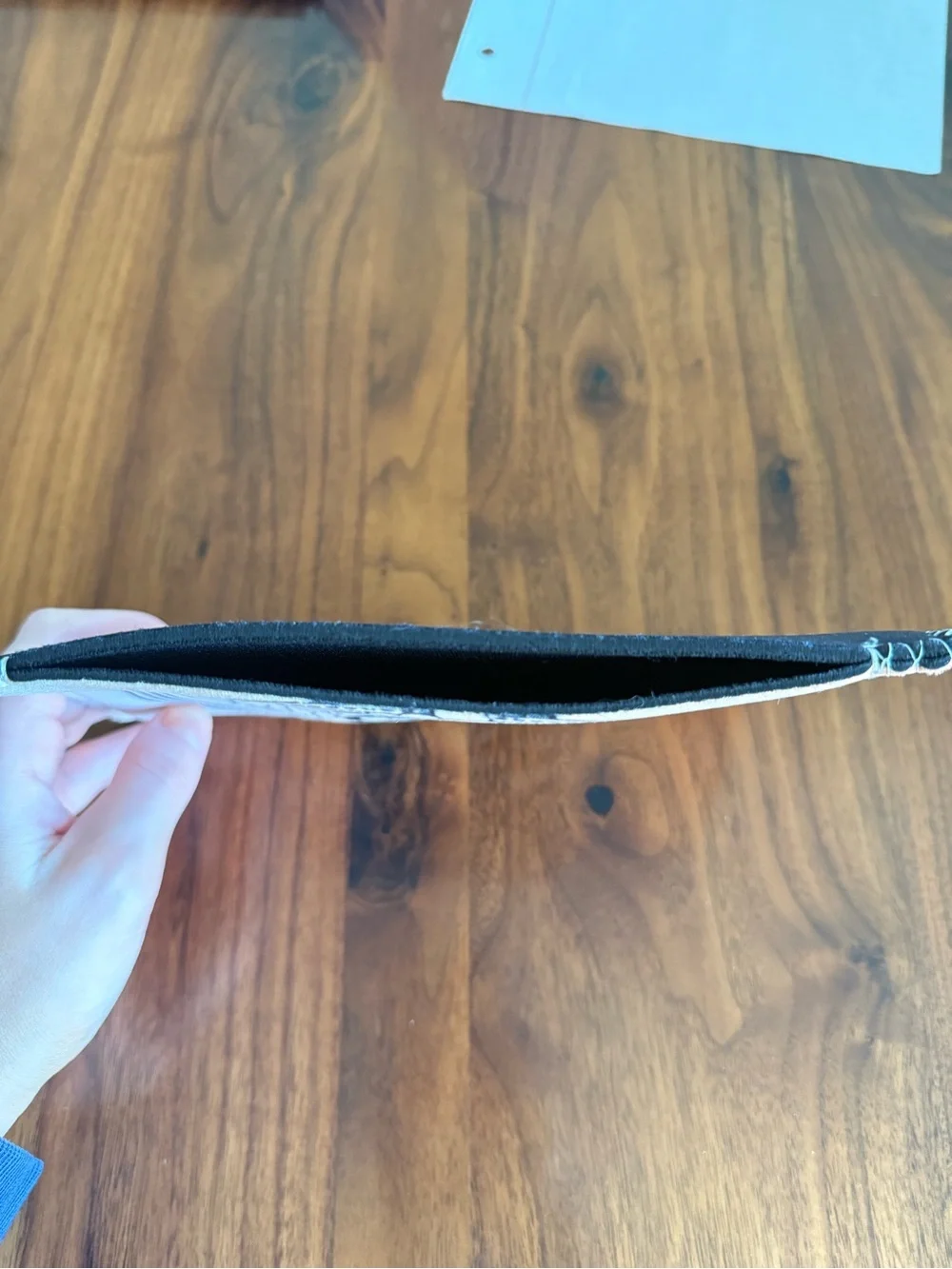 Fourth Wing E-Reader Pouch